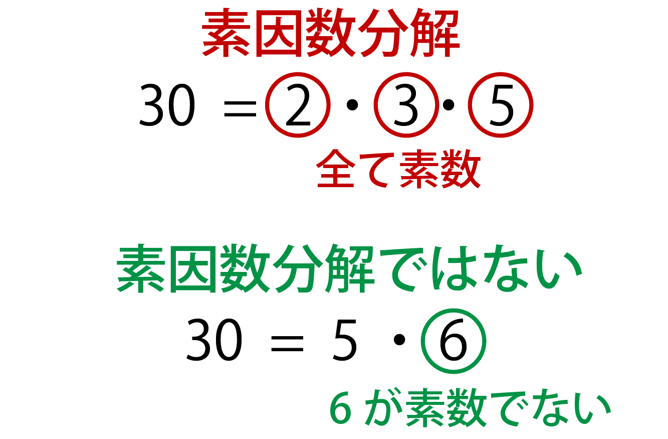 素因数分解の解説画像