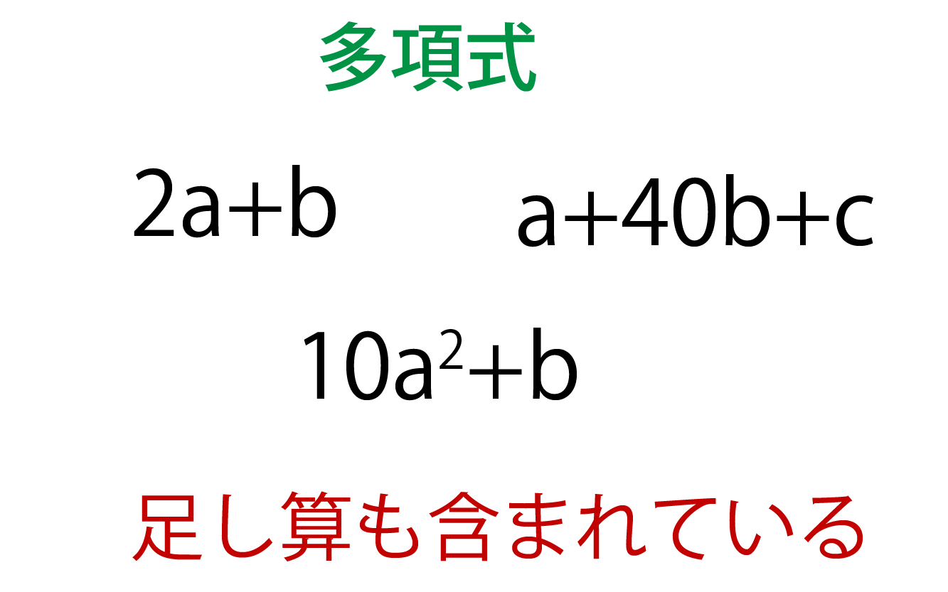 多項式とは何かの解説画像