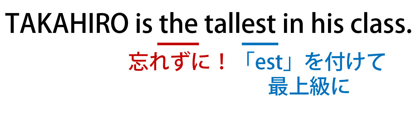最上級の解説画像