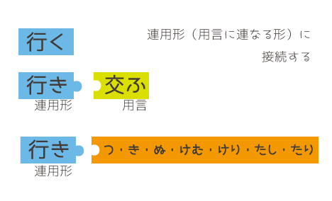 古典/古文の助動詞が連用形に接続するとはどういうことか