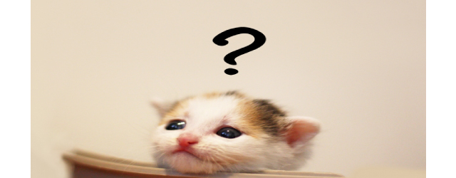 お月見