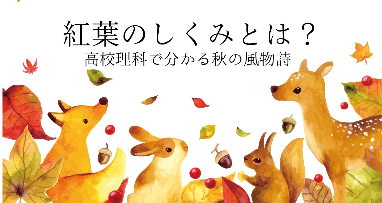 紅葉の仕組みなぜ生物