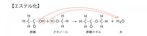エステル化