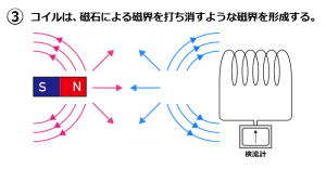 レンツ 画像