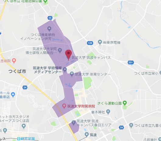 筑波大学とはどんな大学?現役筑波大生が校風や生活などを紹介!筑波大の広さは?