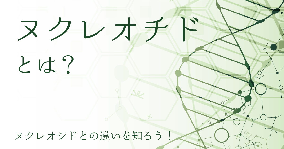 ヌクレオチドとは?ヌクレオシドとの違いと遺伝での役割を解説