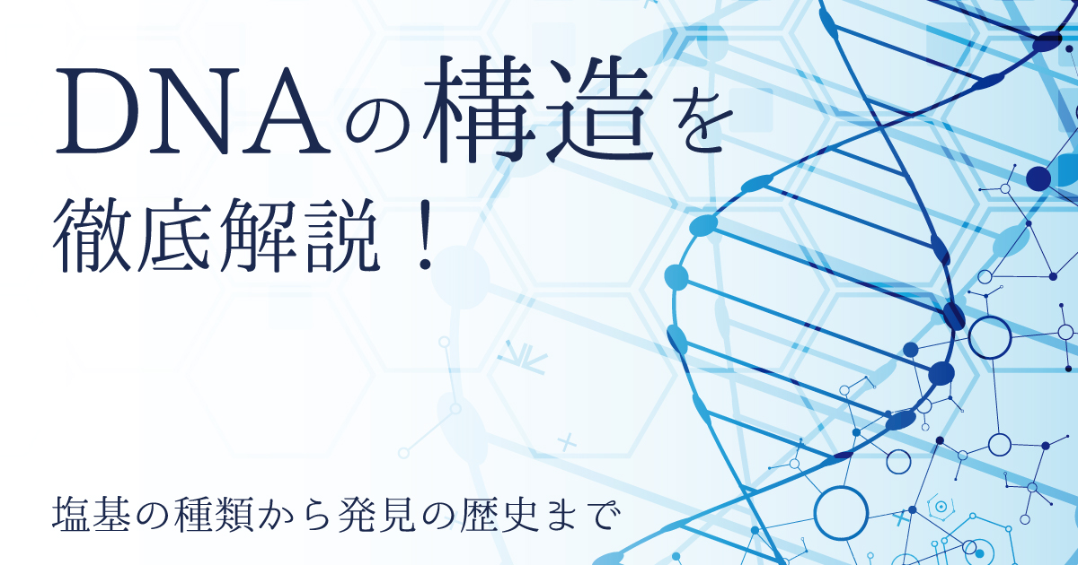 DNAの構造を徹底解説!~塩基の種類から発見の歴史まで~