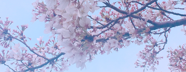 立教大学