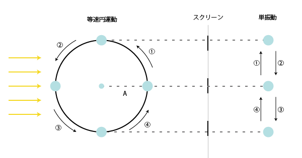 縁運動解説