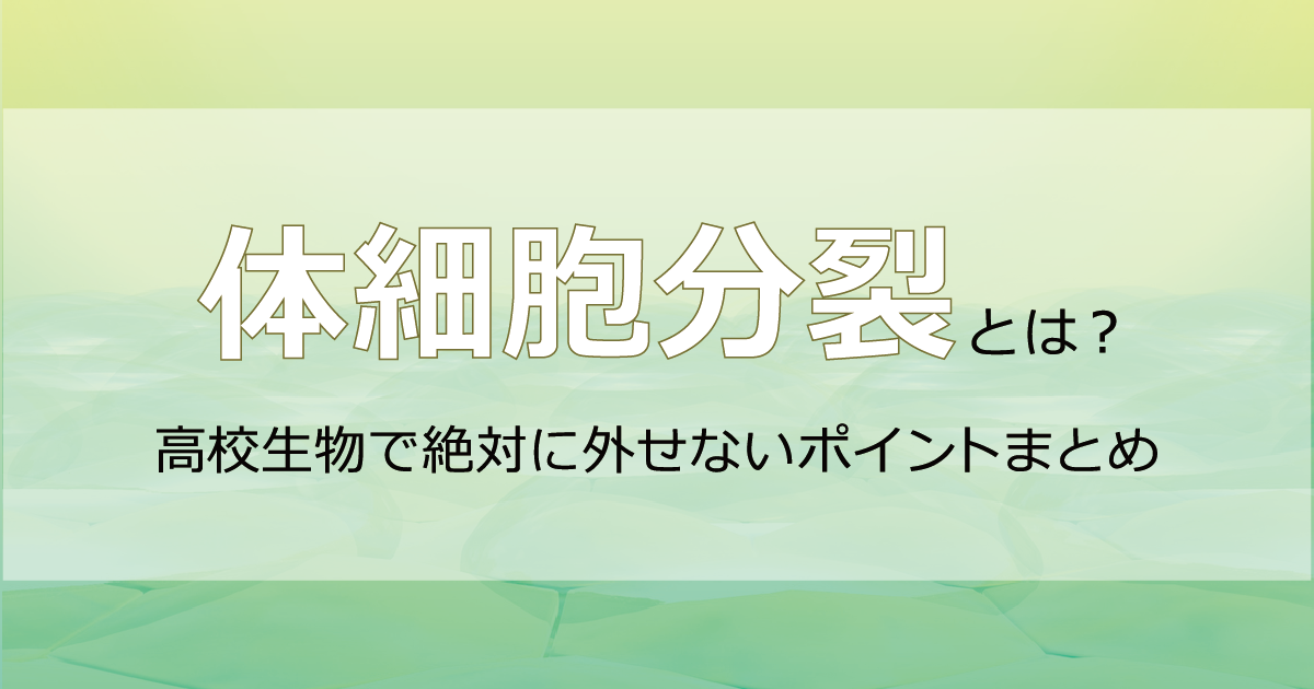 細胞周期アイキャッチ