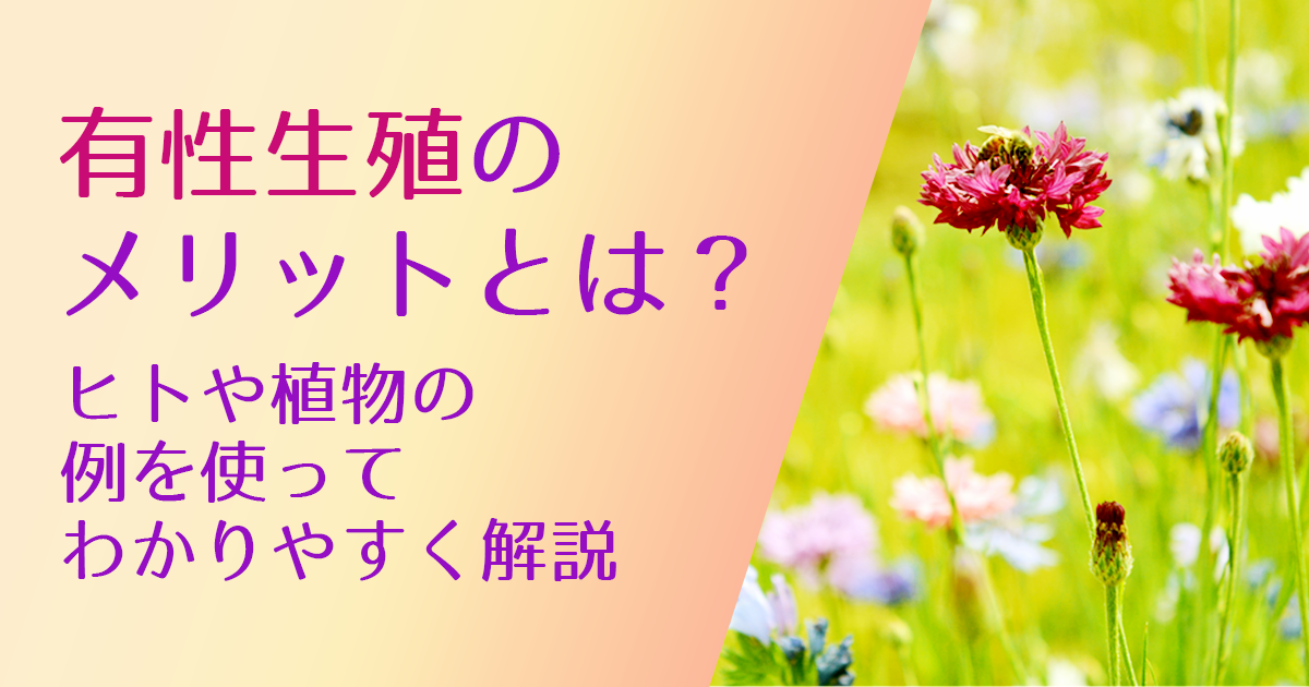 有性生殖のメリットとは?植物と動物の例を使ってわかりやすく解説