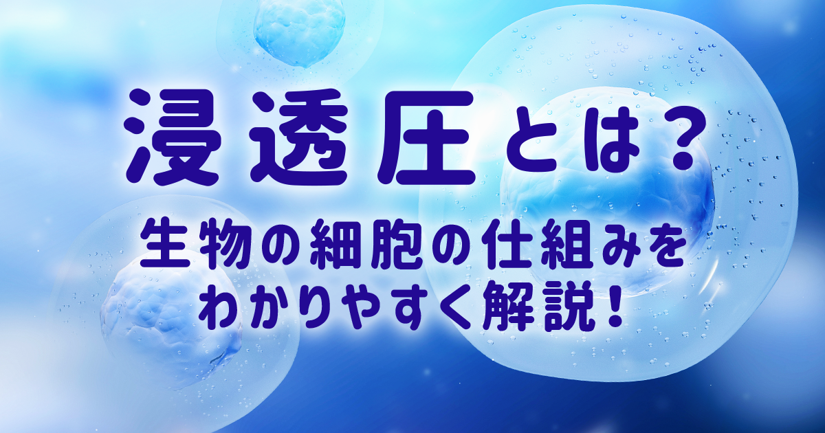 浸透圧アイキャッチ