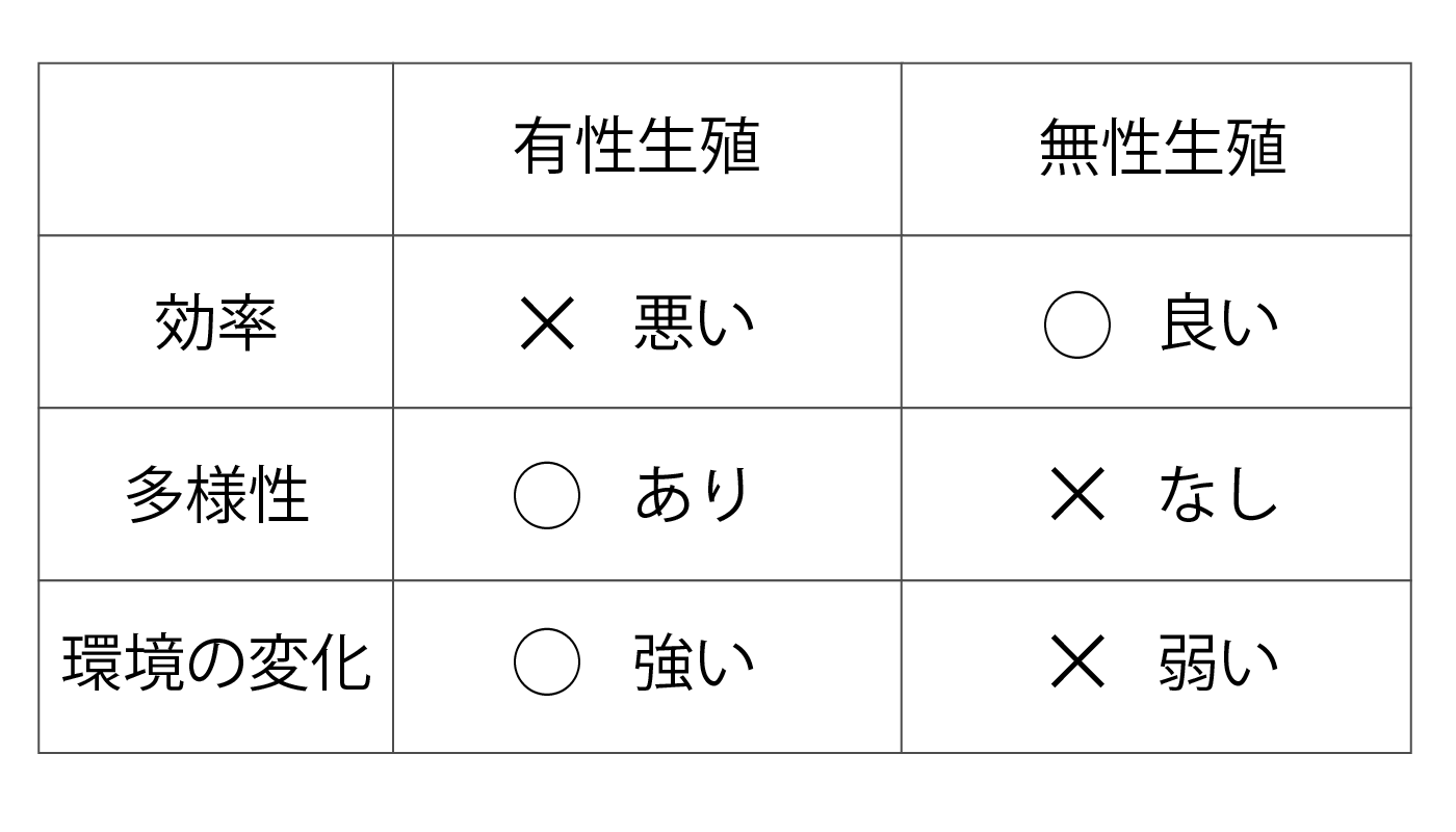 無性生殖 有性生殖 違い