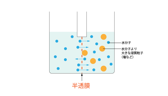 半透膜とは②蒸留水と食塩水