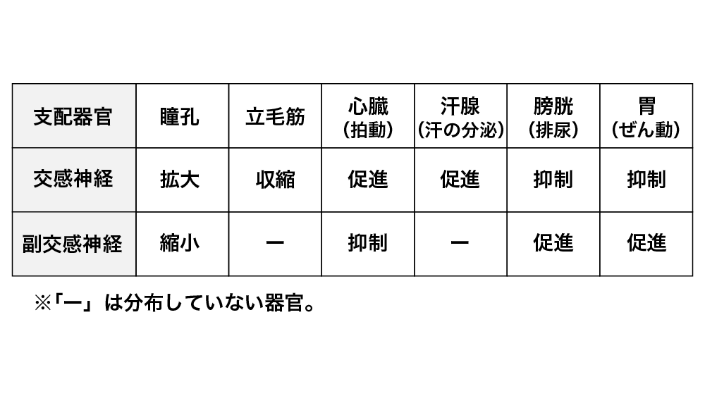 器官