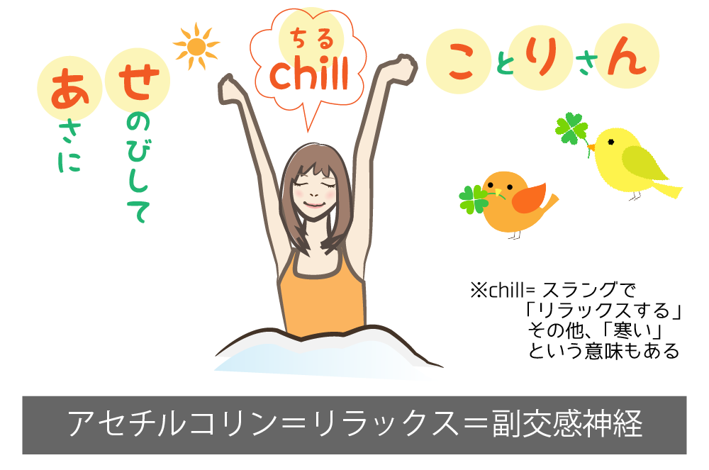 アセチルコリン