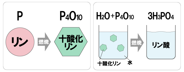 リン 問題 回答