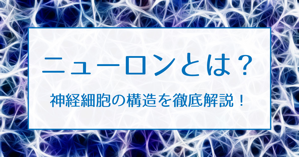ニューロン アイキャッチ