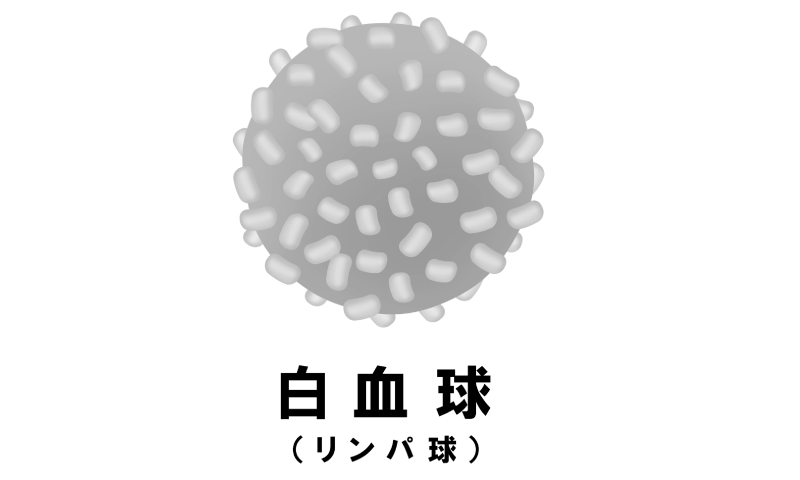 白血球のイメージ図