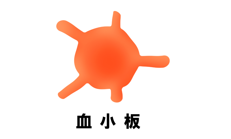 血小板のイメージ図