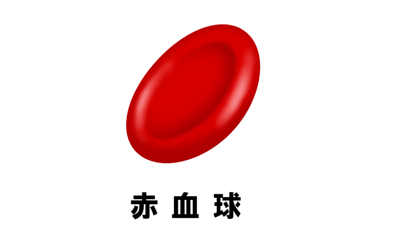 赤血球のイメージ図