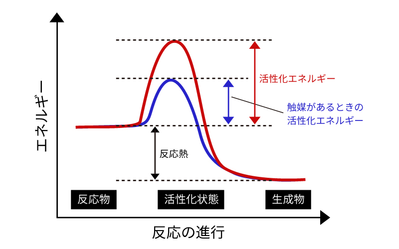 活性化エネルギーの変化