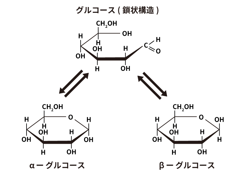 グルコースの平衡状態